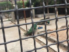 -竹泉村旅游度假区