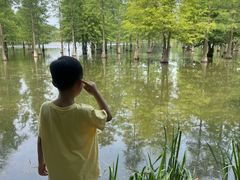-白鹭湾湿地公园