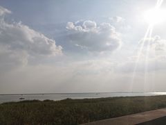 -碧海金沙