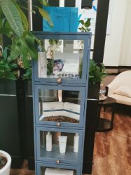 -史云逊养发护发