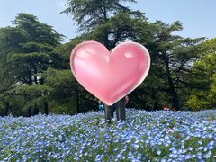 -上海滨江森林公园