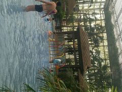android_upload_pic-龙达温泉生态城