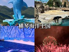 -冯姐生蚝(长隆横琴店)