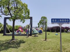 -上海都市菜园