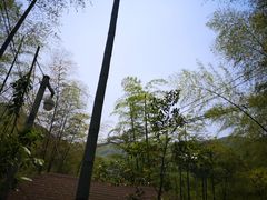 -山沟沟景区