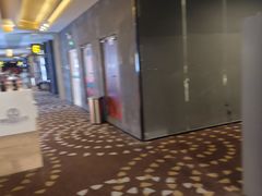 -万达影城(保定万博广场激光IMAX店)