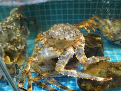 -海味世家·家常菜馆(明州里店)