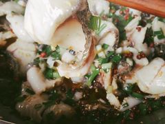 -百岁鱼(七一路店)