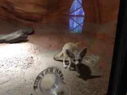 -酷嗒动物文化乐园(cutezoo西溪乐天城店)