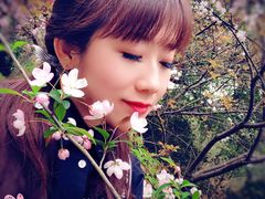 -武汉大学-樱园