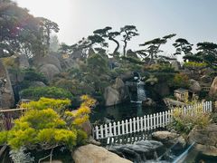 -罗红摄影艺术馆