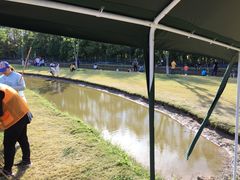 游乐设施-上海长兴岛郊野公园