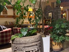 -慢丽江·云南野生菌土鸡锅(付家庄店)
