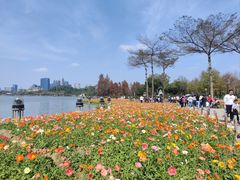 -顺峰山公园
