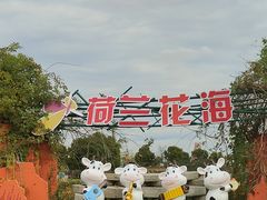 -荷兰花海