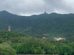 -深圳仙湖植物园