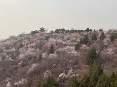 -白水寺森林公园