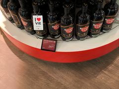 -维也纳国际机场