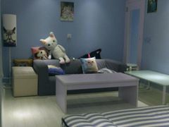 -喵的天空名猫咖啡馆·撸猫·猫舍·用品