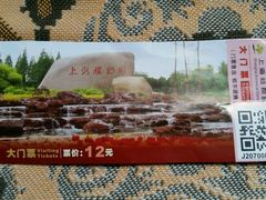 -上海植物园-4号门售票处