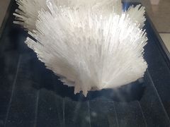 -陕西自然博物馆