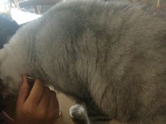 -平行世界·猫咖(首经贸店)