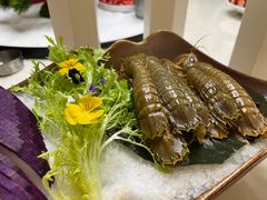 -南山酒肆(南山董事绘店)