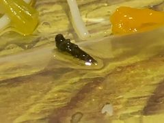 -顾师傅特色炒菜(富民路店)