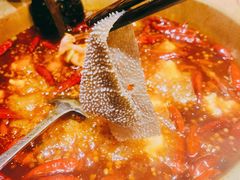 小龙坎毛肚-小龙坎火锅(总店)