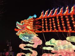 -观山湖公园