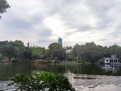 -晓港公园