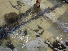 -小象钓虾·营地烧烤(洛溪店)