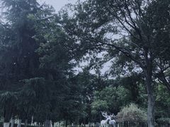 -后襄河公园