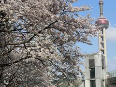 -东方明珠广播电视塔