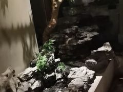 -贝勒爷·酥不腻烤鸭