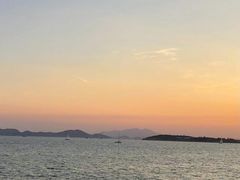 -萃华海鲜阁大排档(五四广场店)