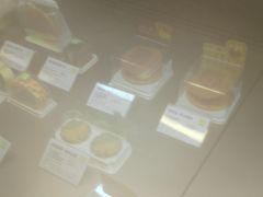 -奈雪的茶(中粮祥云小镇店)