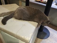 -小时光咖啡馆(开森度假森林店)