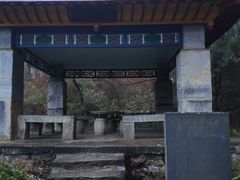 -庐山风景区花径公园