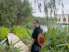 -上海长兴岛郊野公园