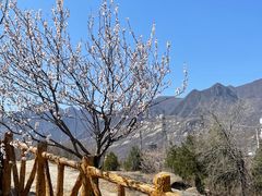 -白水寺森林公园