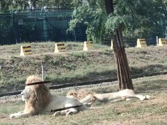 -秦皇岛野生动物园