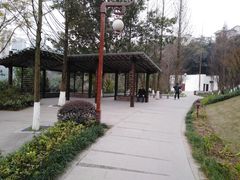 -重庆彩云湖湿地公园