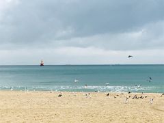 -海云台海滩