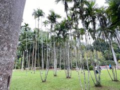 -中国科学院西双版纳热带植物园