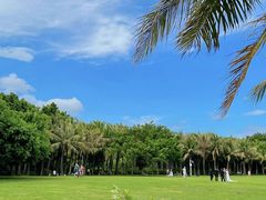 -深圳湾公园(南山区)