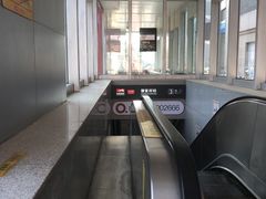 -徐记正宗北京烤鸭(北京东路总店)