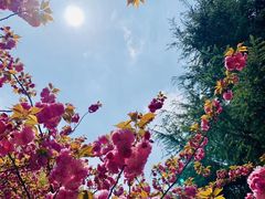 -华东理工大学-图书馆