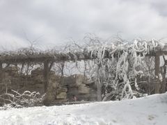 -龙达温泉生态城