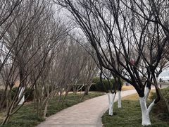 -云龙湖旅游景区